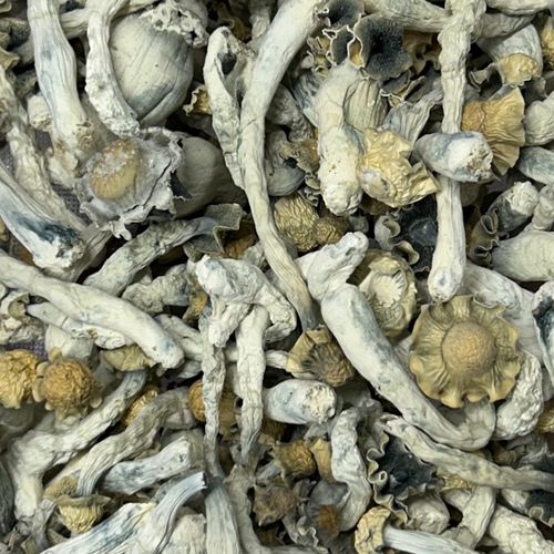 Amazonian Vegan Raw Classic Dark Cacao Bar MF Shrooms Ann Arbor Mushrooms