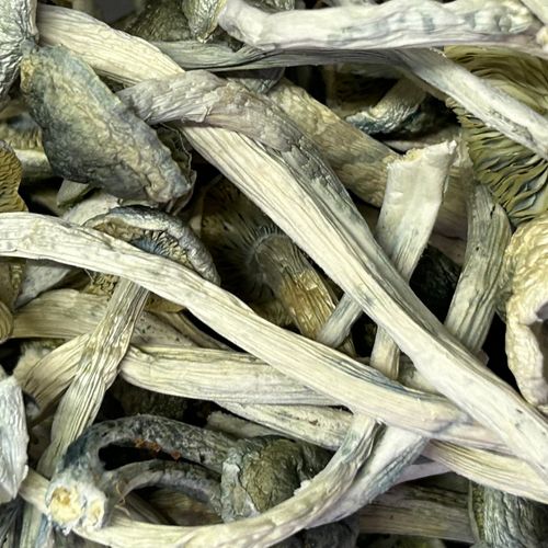 Amazonian Vegan Raw Classic Dark Cacao Bar MF Shrooms Ann Arbor Mushrooms