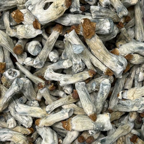 Amazonian Vegan Raw Classic Dark Cacao Bar MF Shrooms Ann Arbor Mushrooms