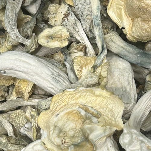 Amazonian Vegan Raw Classic Dark Cacao Bar MF Shrooms Ann Arbor Mushrooms