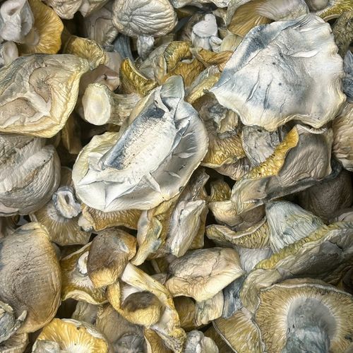 Amazonian Vegan Raw Classic Dark Cacao Bar MF Shrooms Ann Arbor Mushrooms