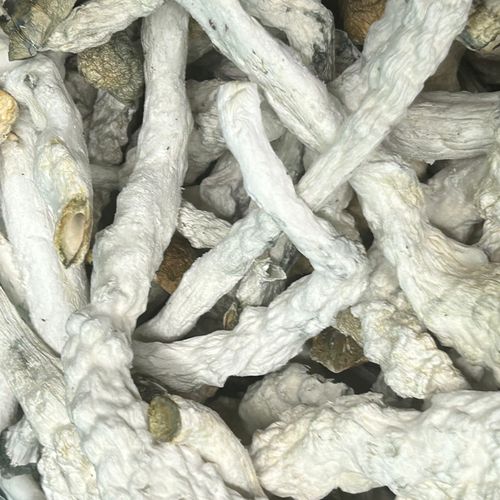 Amazonian Vegan Raw Classic Dark Cacao Bar MF Shrooms Ann Arbor Mushrooms