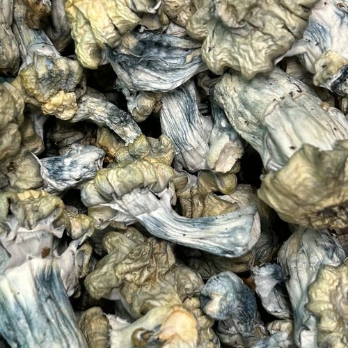 Amazonian Vegan Raw Classic Dark Cacao Bar MF Shrooms Ann Arbor Mushrooms