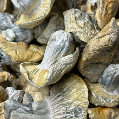 Amazonian Vegan Raw Classic Dark Cacao Bar MF Shrooms Ann Arbor Mushrooms