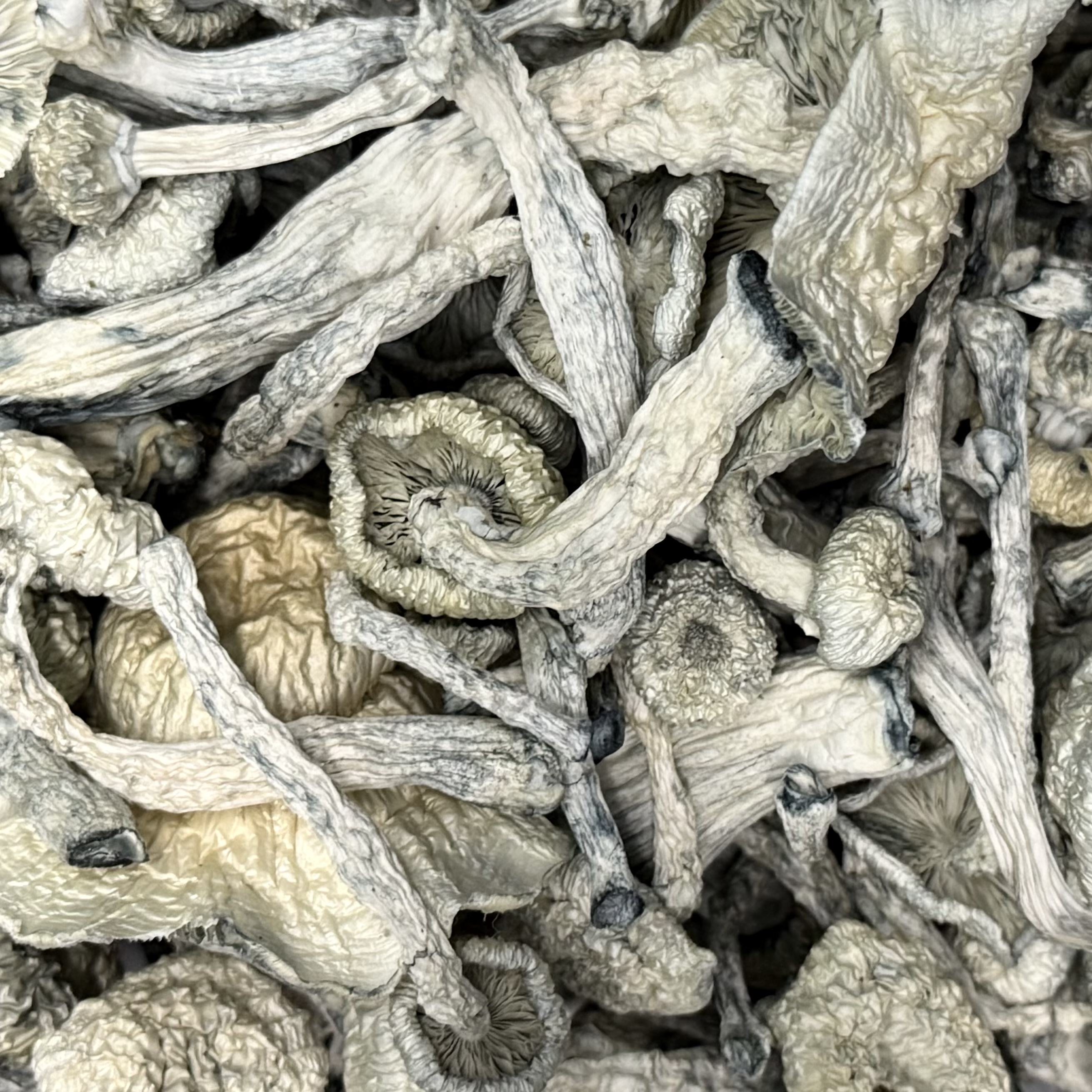 Amazonian Vegan Raw Classic Dark Cacao Bar MF Shrooms Ann Arbor Mushrooms