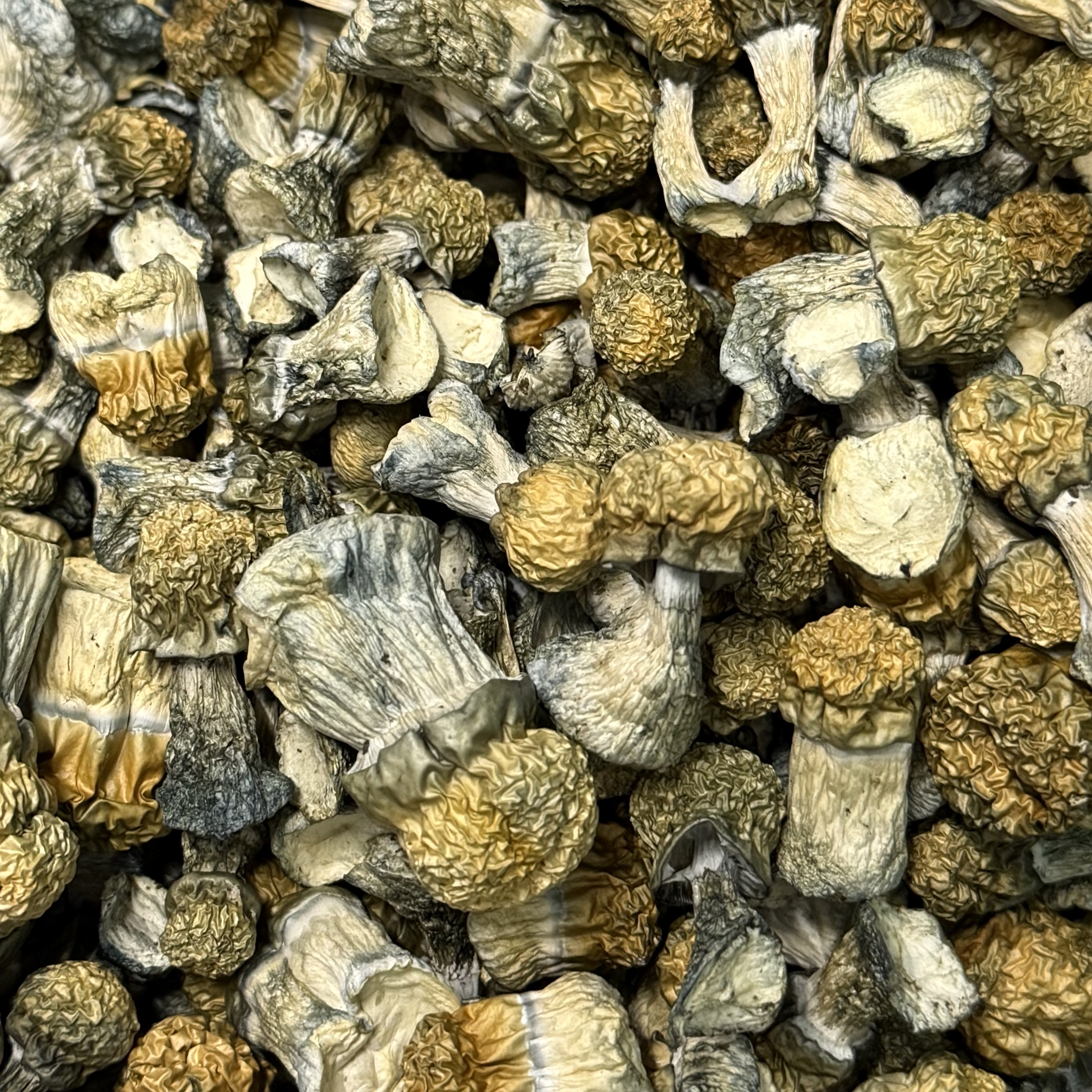 Amazonian Vegan Raw Classic Dark Cacao Bar MF Shrooms Ann Arbor Mushrooms