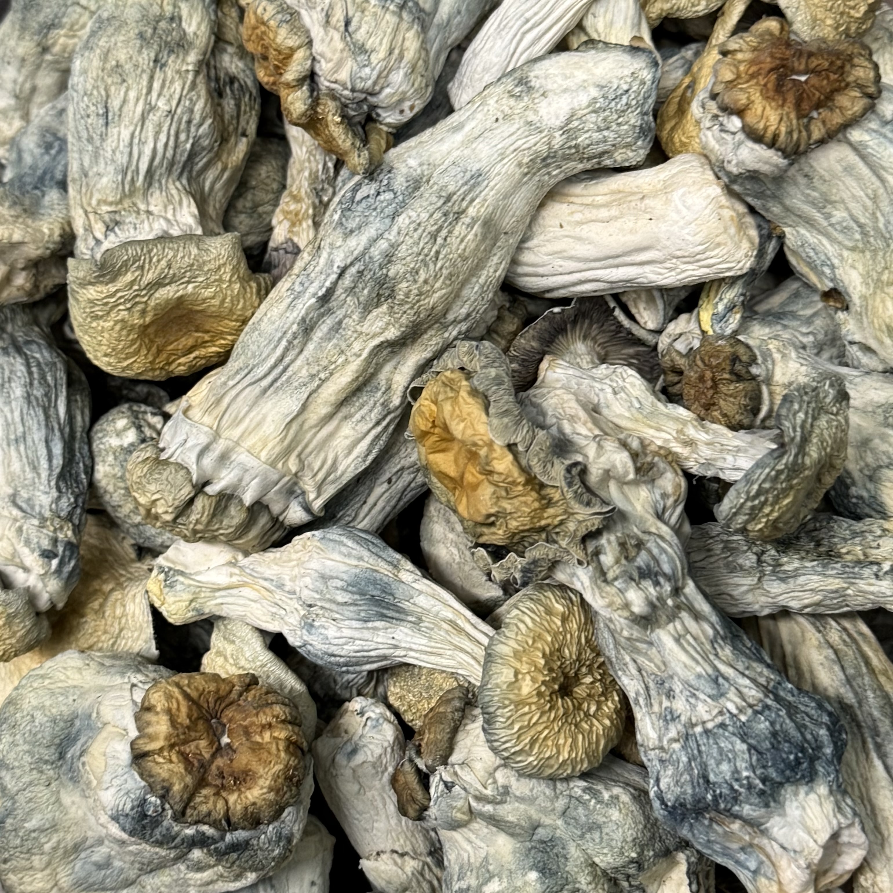 Amazonian Vegan Raw Classic Dark Cacao Bar MF Shrooms Ann Arbor Mushrooms