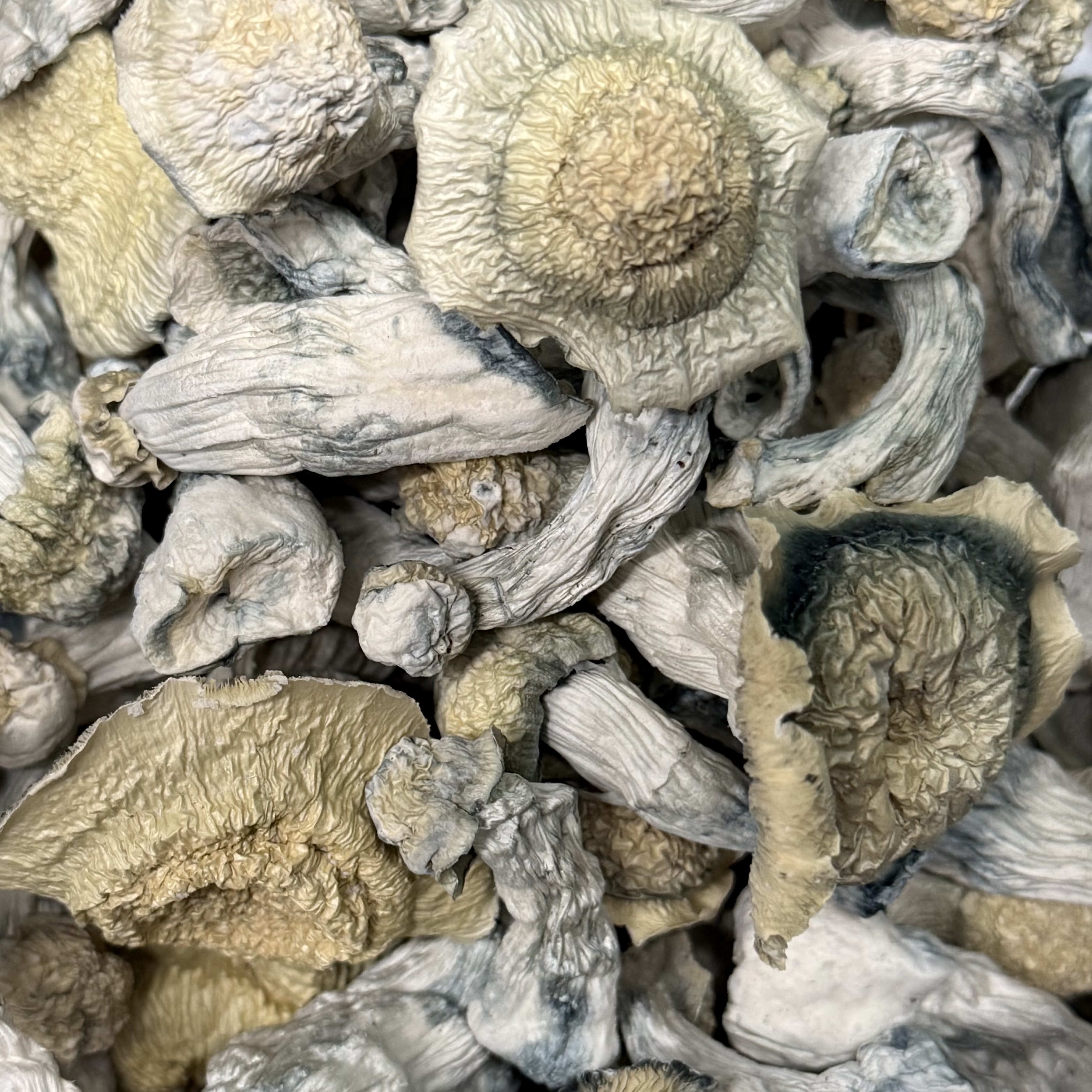 Amazonian Vegan Raw Classic Dark Cacao Bar MF Shrooms Ann Arbor Mushrooms