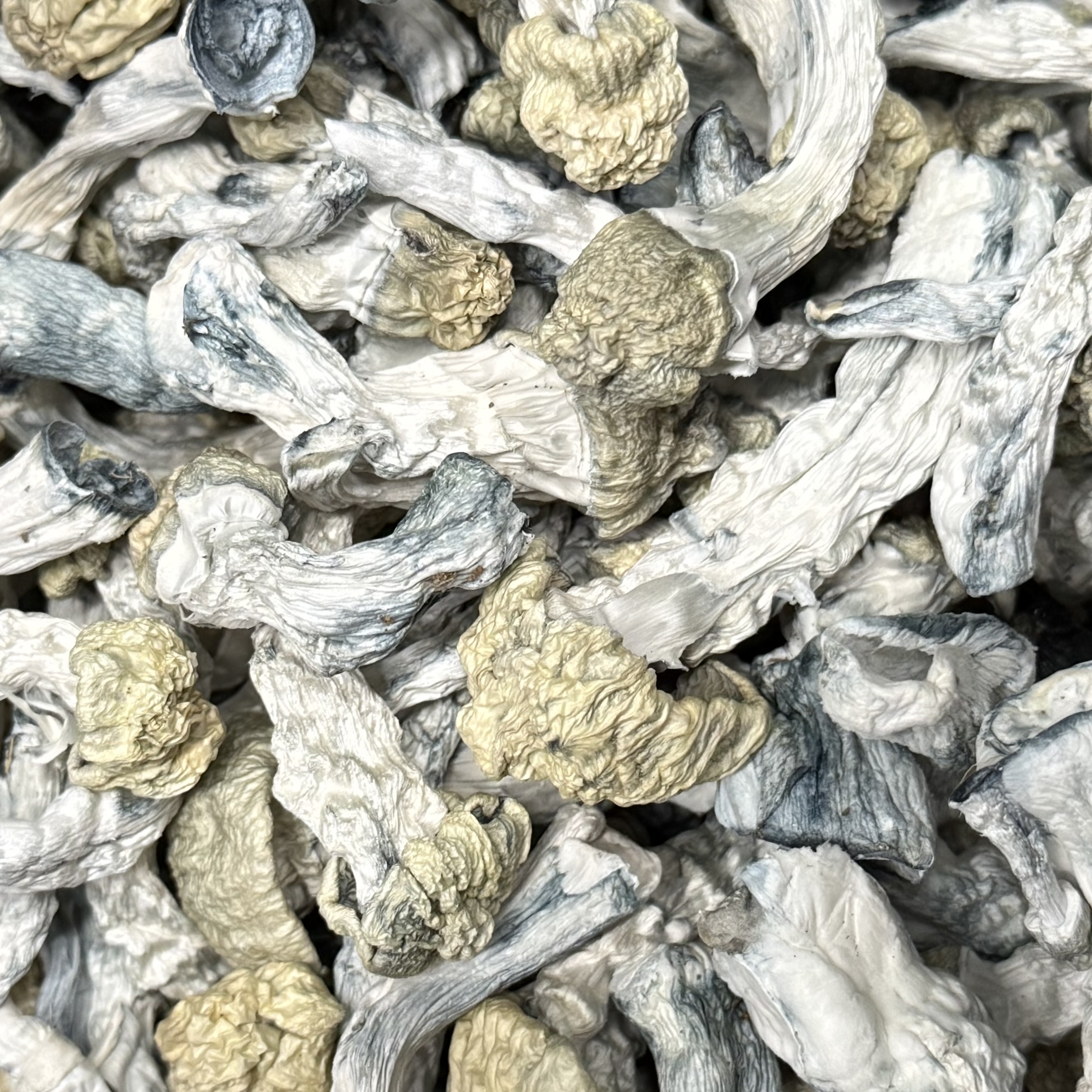 Amazonian Vegan Raw Classic Dark Cacao Bar MF Shrooms Ann Arbor Mushrooms