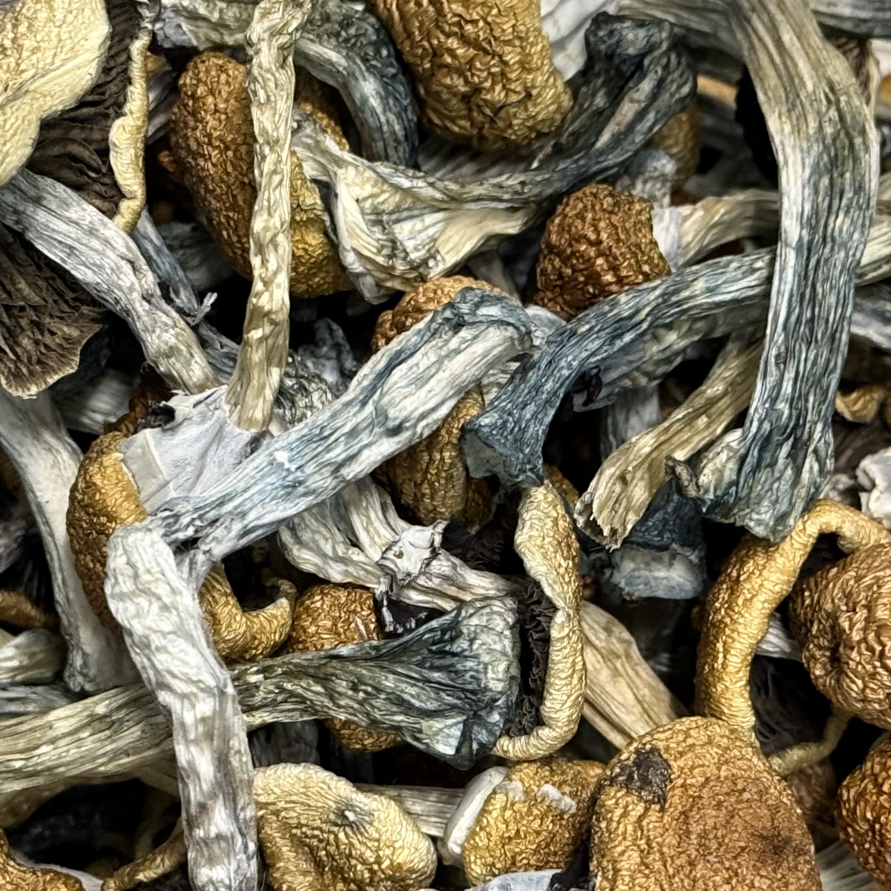 Amazonian Vegan Raw Classic Dark Cacao Bar MF Shrooms Ann Arbor Mushrooms