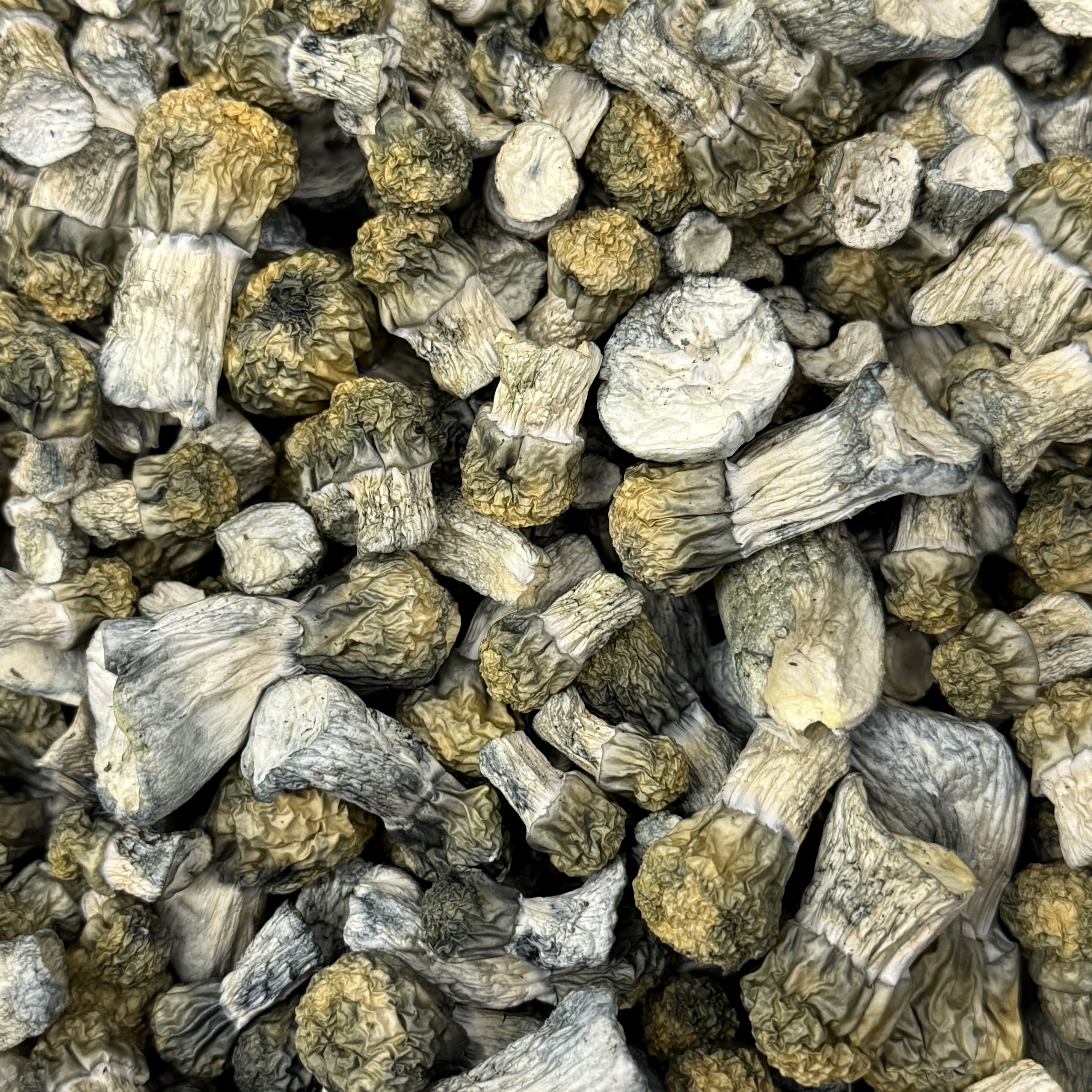 Amazonian Vegan Raw Classic Dark Cacao Bar MF Shrooms Ann Arbor Mushrooms