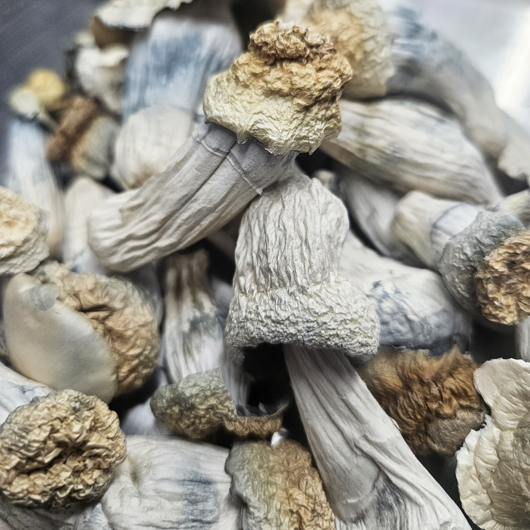 Amazonian Vegan Raw Classic Dark Cacao Bar MF Shrooms Ann Arbor Mushrooms