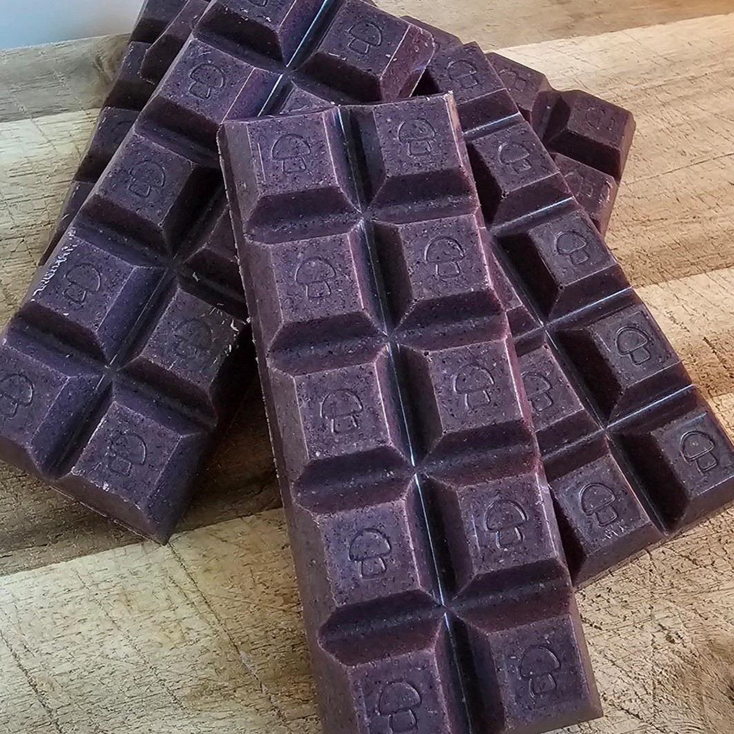 Amazonian Vegan Raw Classic Dark Cacao Bar MF Shrooms Ann Arbor Mushrooms
