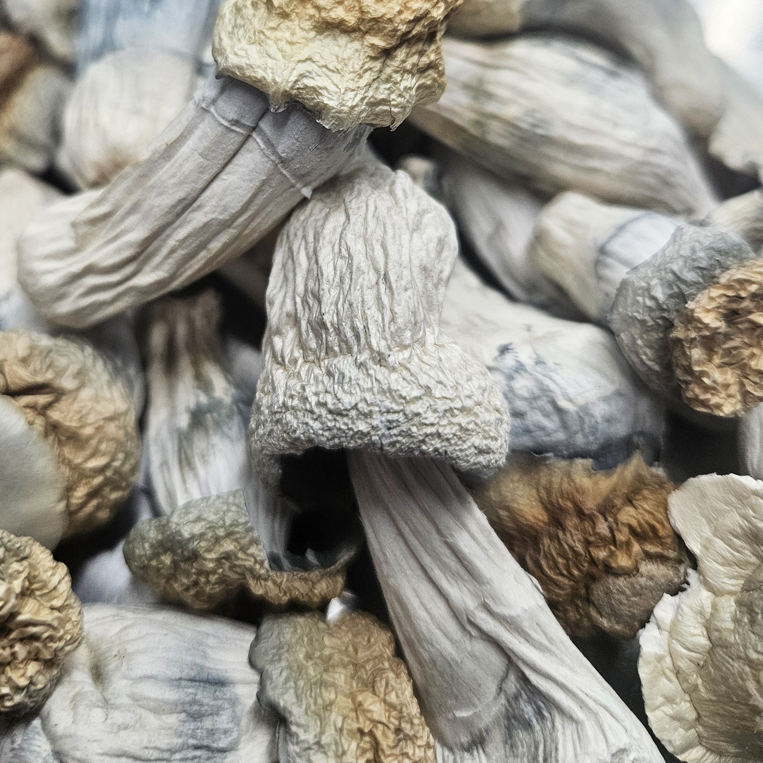 Amazonian Vegan Raw Classic Dark Cacao Bar MF Shrooms Ann Arbor Mushrooms