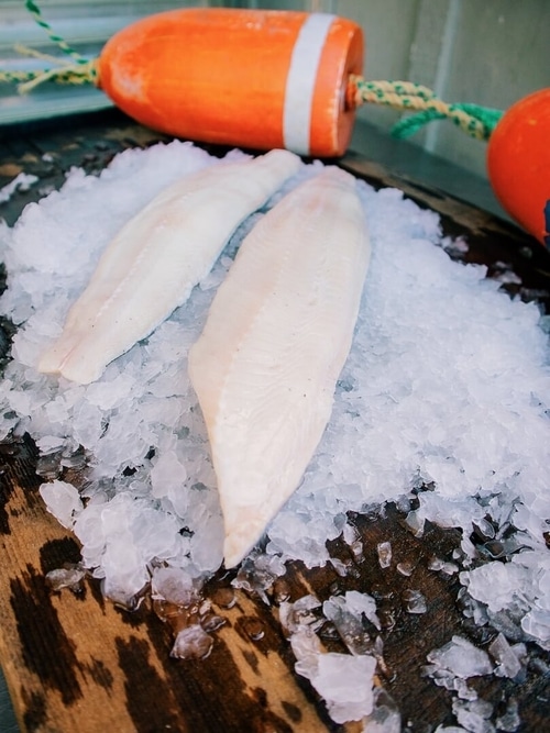 Fresh Local Black Cod sitting on ice with orange buoys in the background
