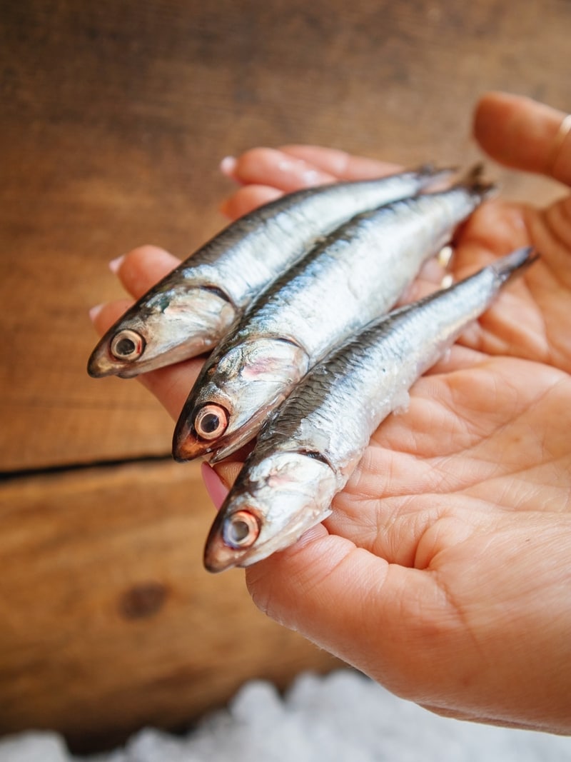Person holding Three Anchovies in palm of hand