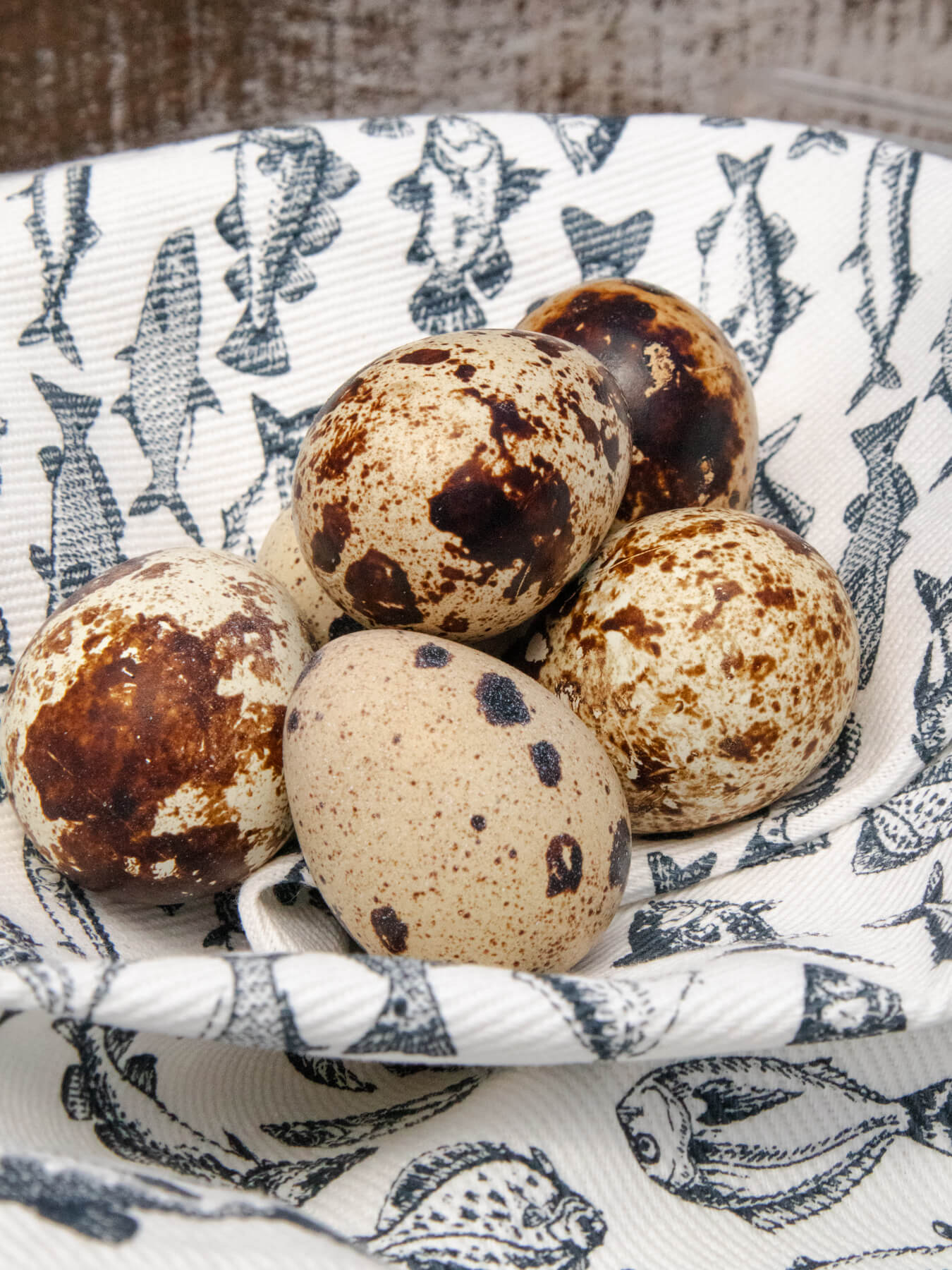 Mutilple Quail Eggs sitting in fish patterned towel