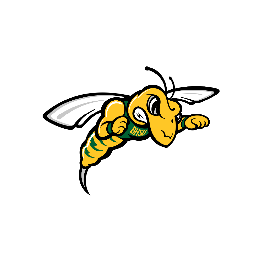 Black Hills State
