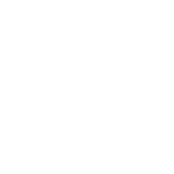 logo PERNOD RICARD