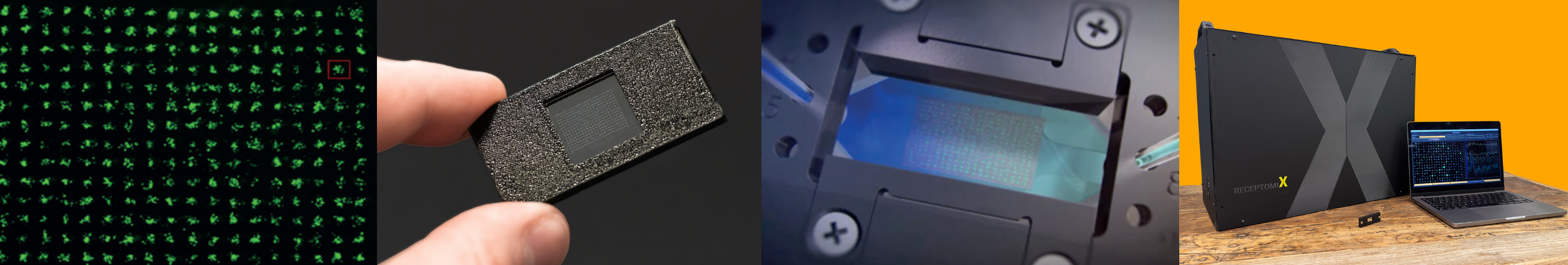 Four-part image showing steps of advanced chip technology: green microarray with a highlighted symbol, a hand holding a small black chip with a grid pattern, a close-up of a chip mounted on a device with screws, and a black ReceptorX device alongside a laptop displaying technical data on a wooden surface with an orange background.