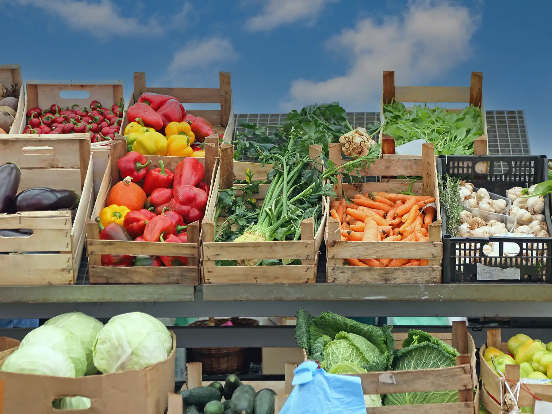 Colorful fresh vegetables, including carrots, bell peppers, cabbage, and eggplant, displayed in wooden crates at an outdoor farmer's market.