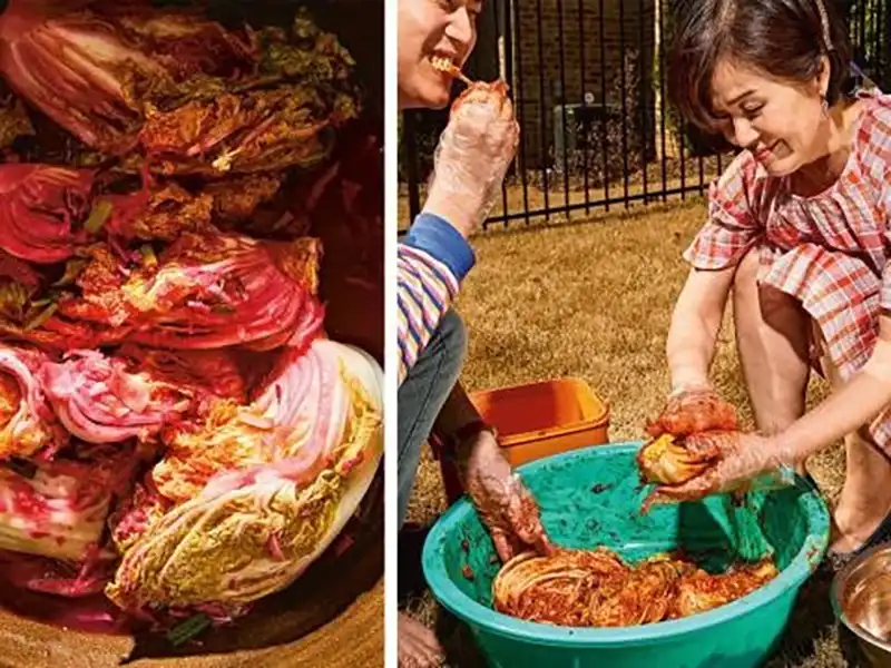 Cabbage coated in red chili paste and two people kneading kimchi by hand outdoors, mixing napa leaves in a green tub during a hands-on kimchi workshop.