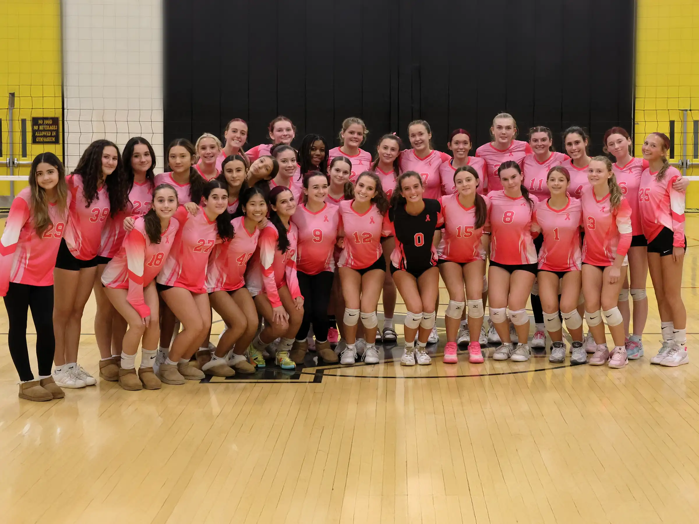 Group photo of the Amity Girls Volleyball team in pink jerseys posing together on the gym floor after their Dig Pink Game fundraiser event.