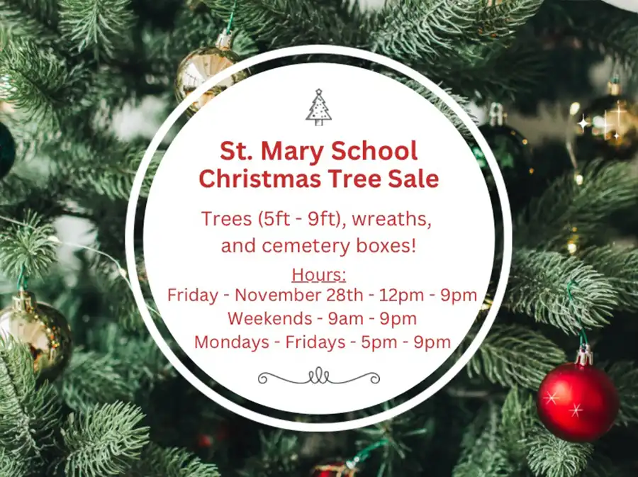 St. Mary School Christmas Tree Sale flyer surrounded by decorated evergreen branches, listing trees (5-9ft), wreaths, boxes, and hours.