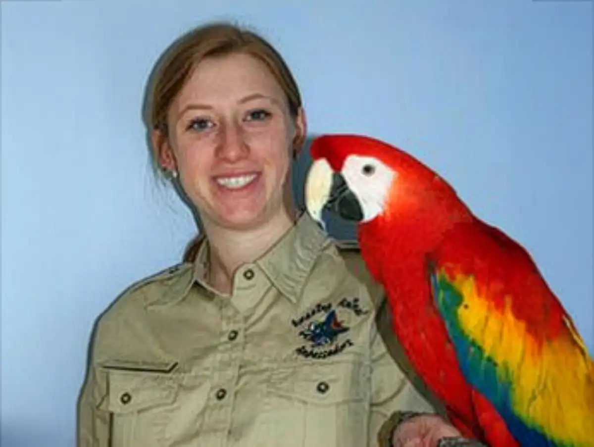 An Amazing Animal Ambassadors trainer in a tan uniform smiles while holding a large, vibrant red, yellow, and blue macaw parrot for a live show.