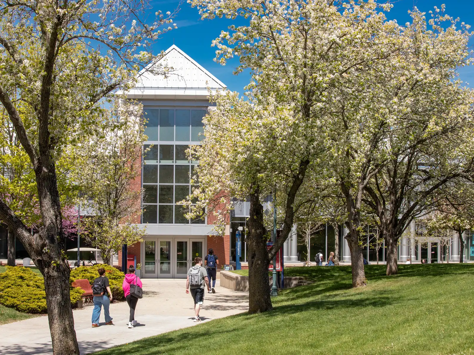 Students walking toward the ECSU Student Center entrance on a sunny day, surrounded by blooming spring trees and green grass.