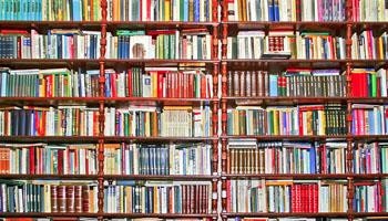 Library shelves filled with colorful books ready for the Friends of the Library book sale.