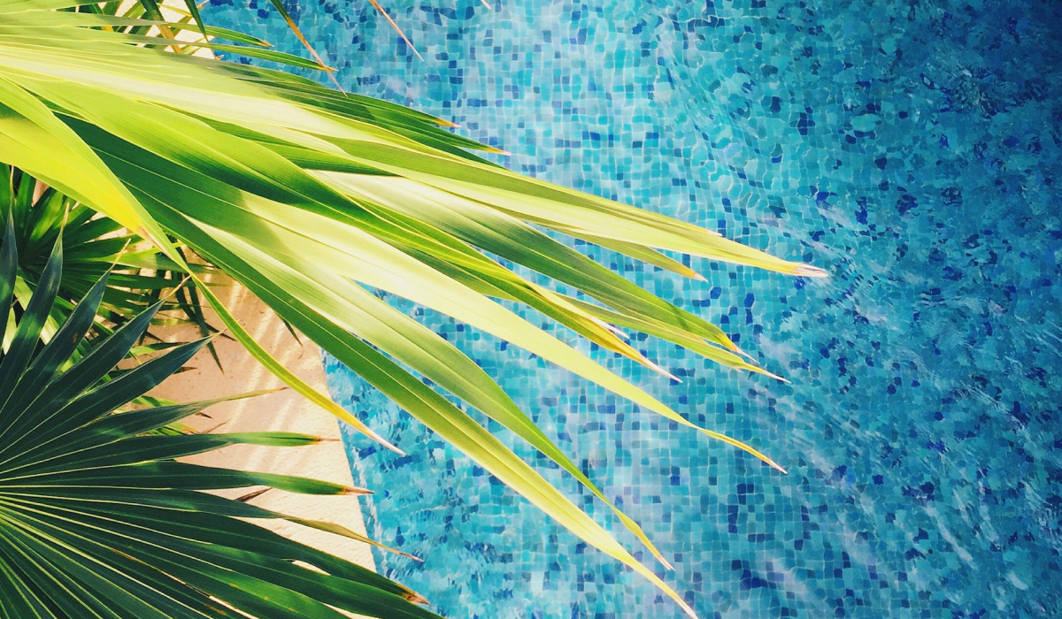 Blue tile pool with palm tree shading it.