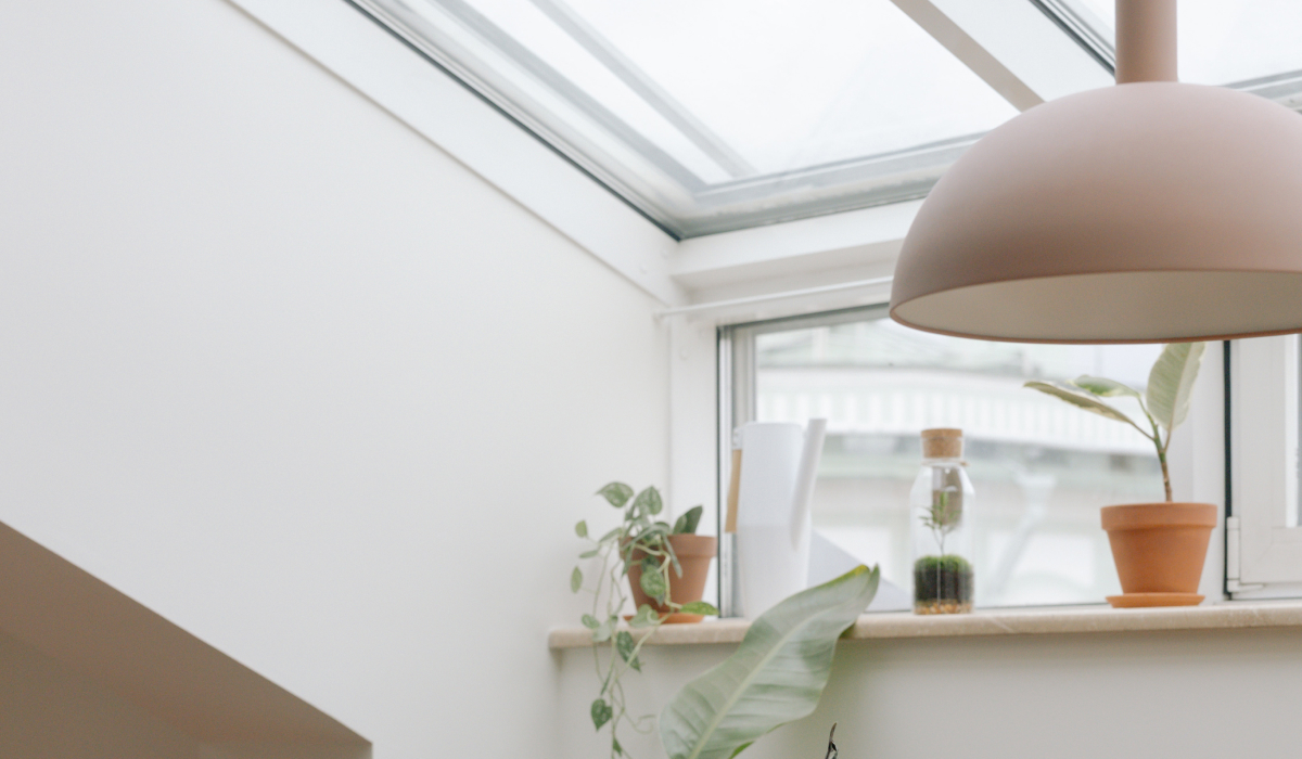 Skylight window above a plant-filled shelf bringing daylight into a hallway