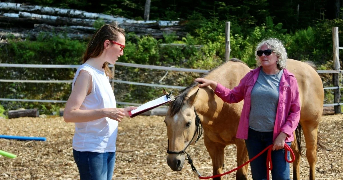 Leading with Hooves: Exploring the Transformative Benefits of Equicoaching in Business