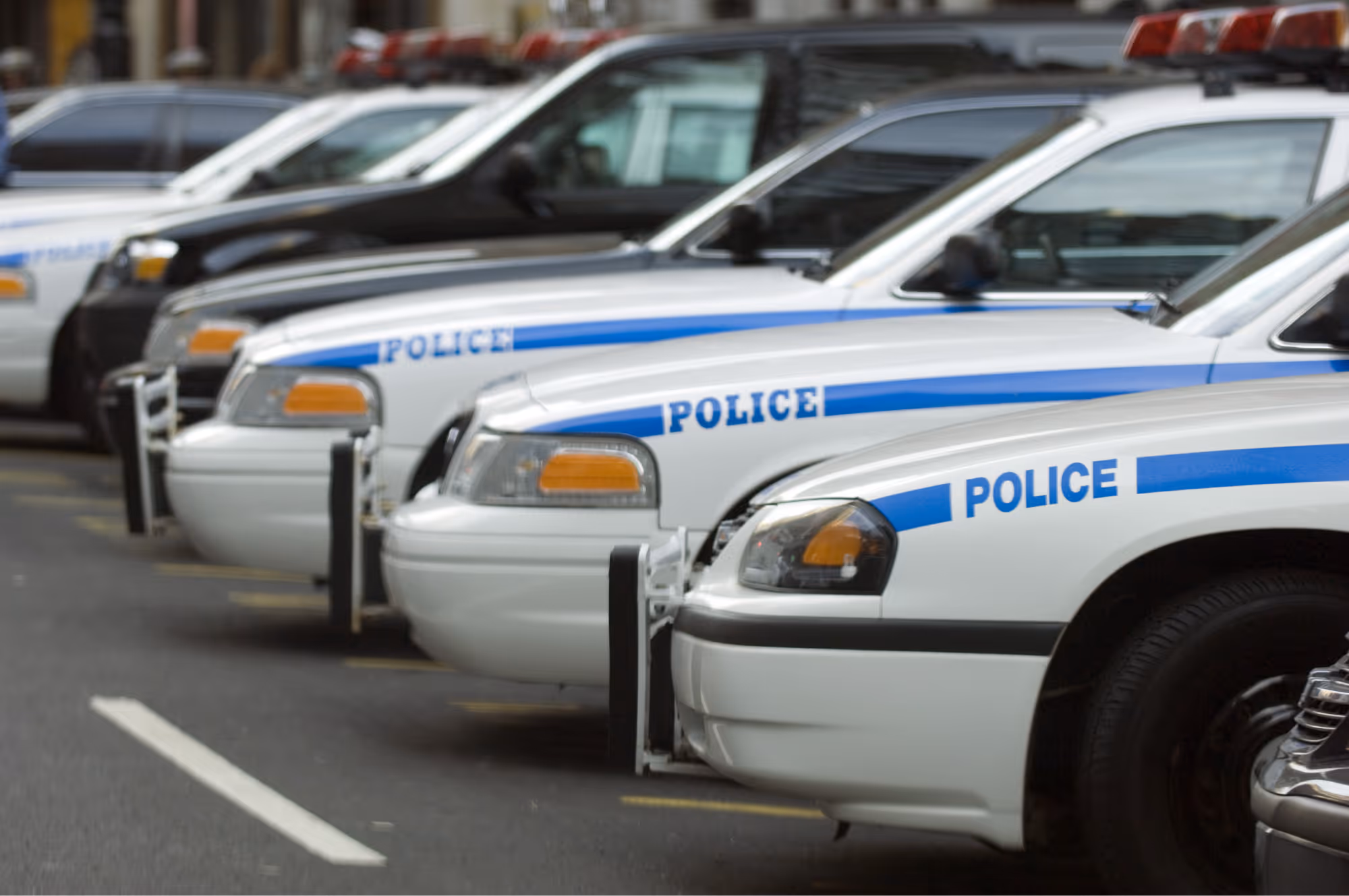 Row of white police cars with blue stripes and red lights parked in a line on a street.