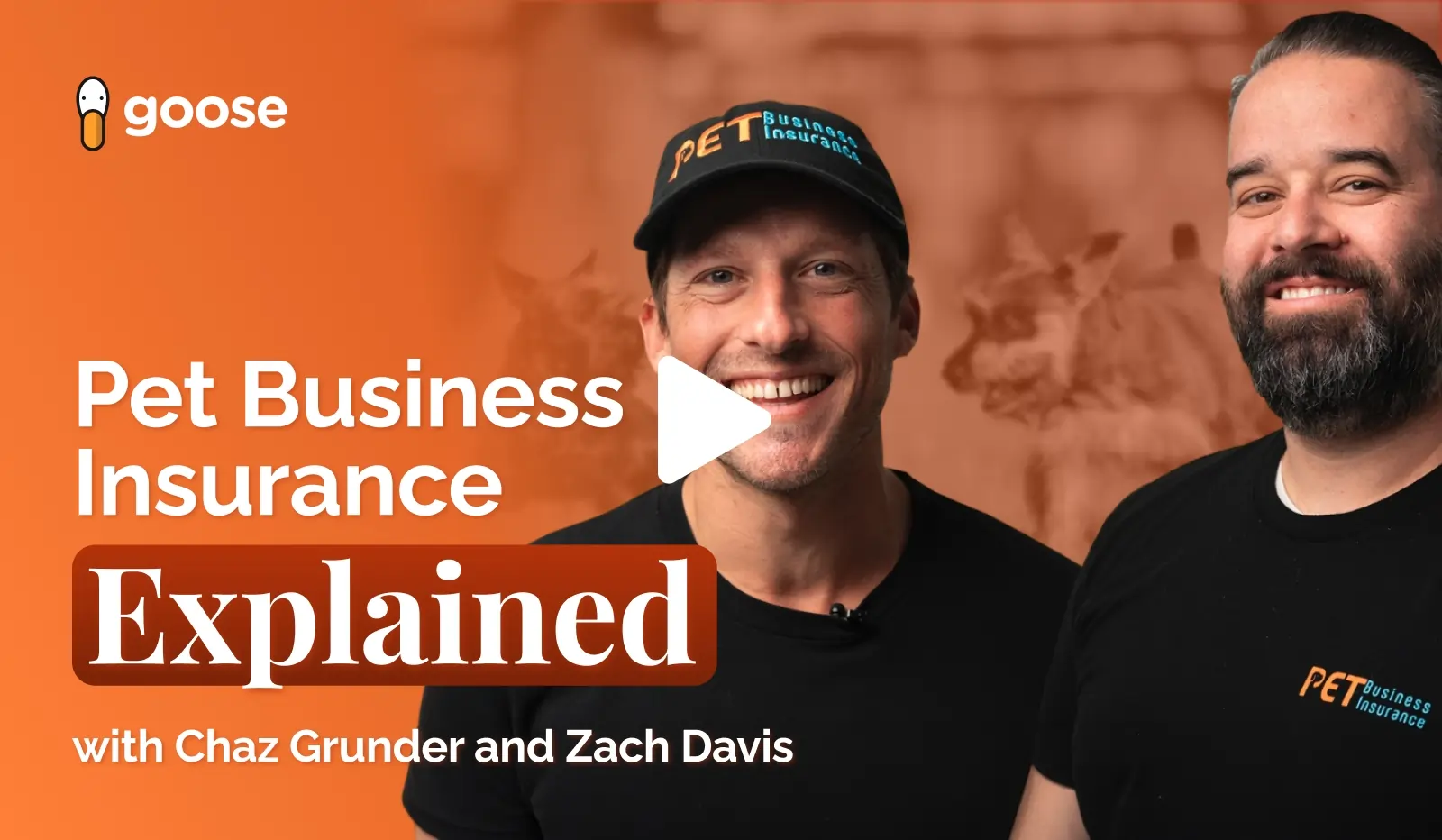 Pet Business Insurance Explained: The Coverage You Need And The Coverage You're Missing