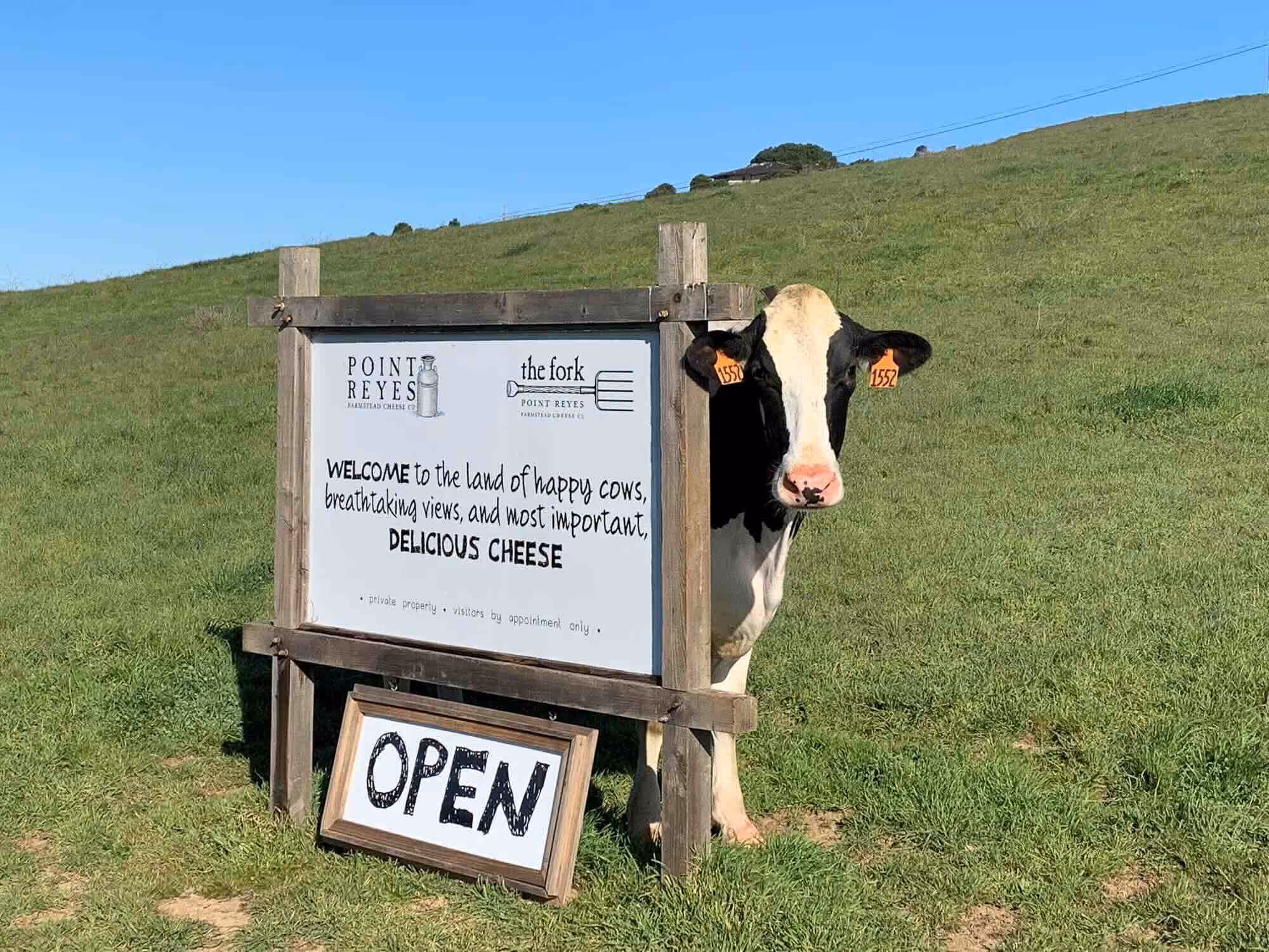 Looking Ahead to 2026: What’s Next for the Cheese Trail