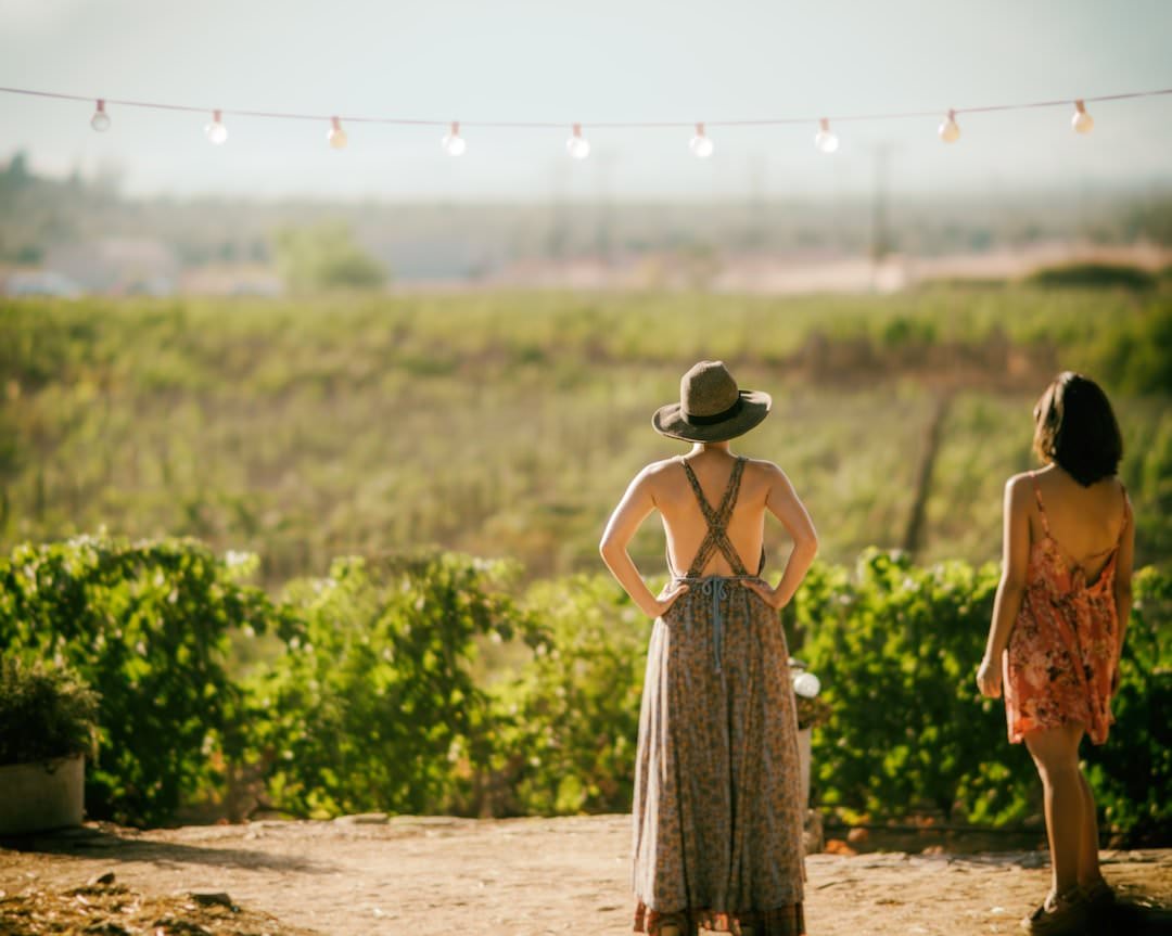 Two women walking away along a dirt path through a green vineyard, one in a wide-brimmed hat, with string lights strung overhead.