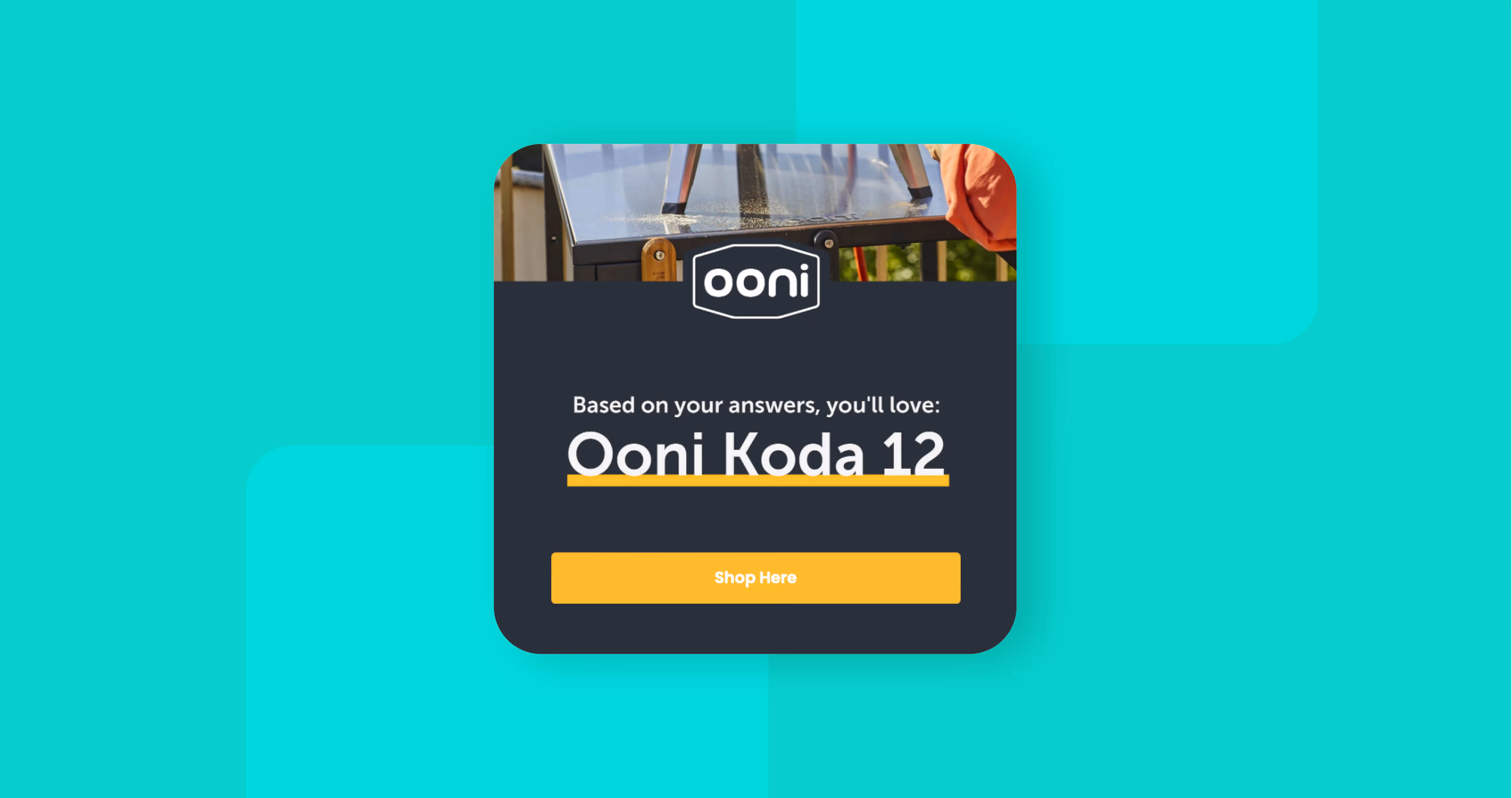 Which Pizza Oven Is Best For You?