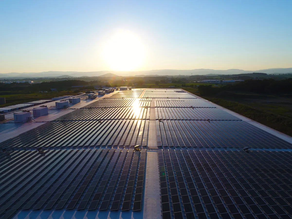 Virginia solar alliance hopeful after regulators suspend new interconnection rules