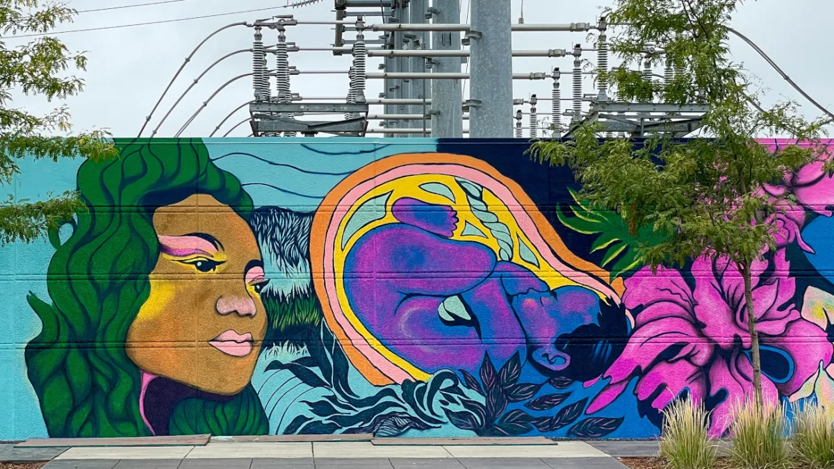 Xcel, solar advocates at odds over substation use