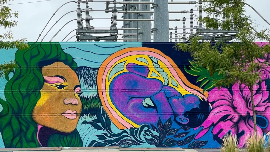 Xcel, solar advocates at odds over substation use