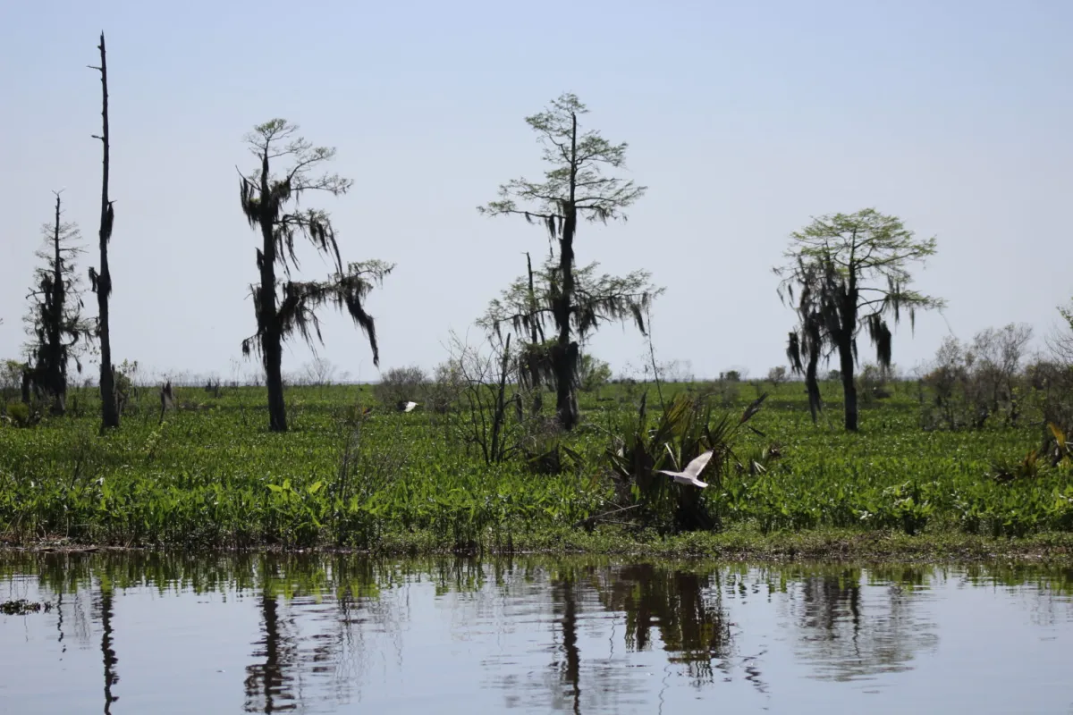 Proposed carbon sequestration project in Montana raises concerns