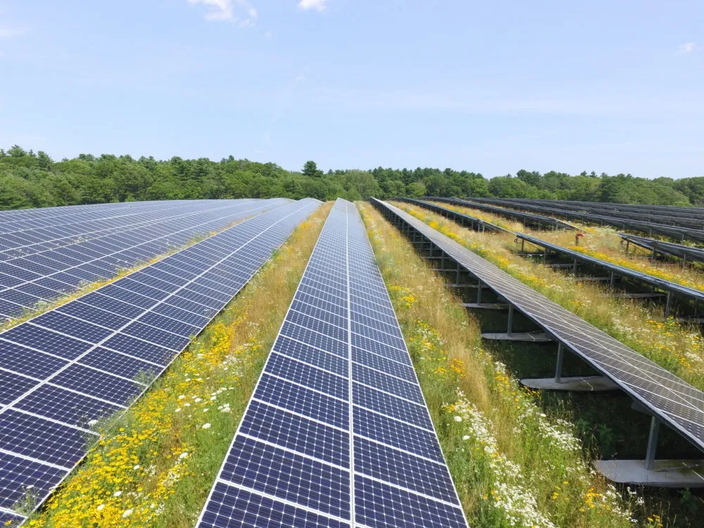 Solar grants lead Biden’s Earth Day announcements