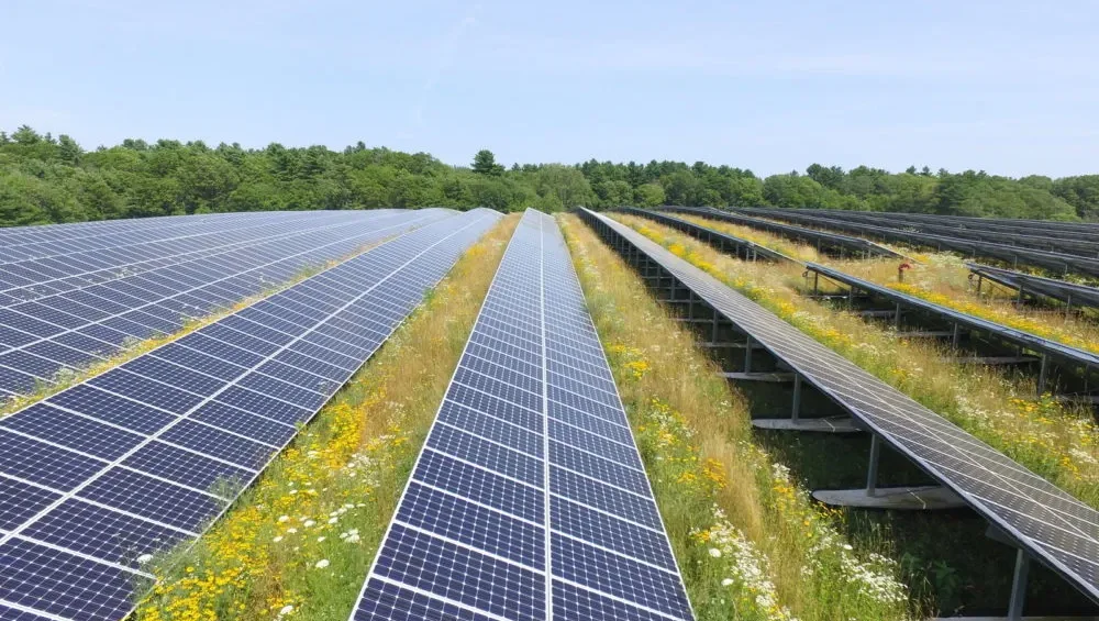 Solar grants lead Biden’s Earth Day announcements