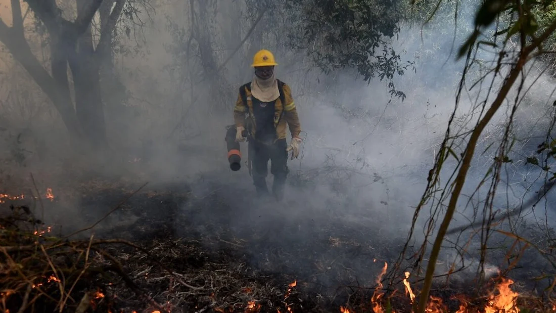 Climate change made the ‘supercharged’ 2024 Pantanal wildfires 40% more intense