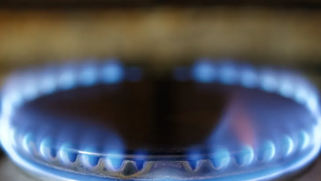 California Gov. Newsom vetoes warning labels for gas stoves