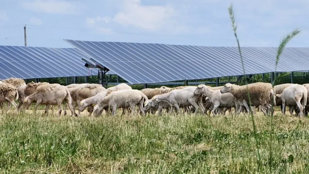 How a solar development turned from threat to opportunity for an Illinois farmer