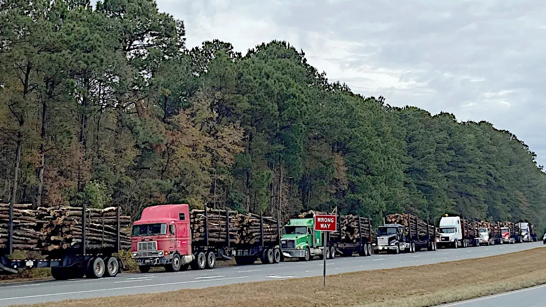 As world grapples with wood pellets’ climate impacts, North Carolina communities contend with dust and noise