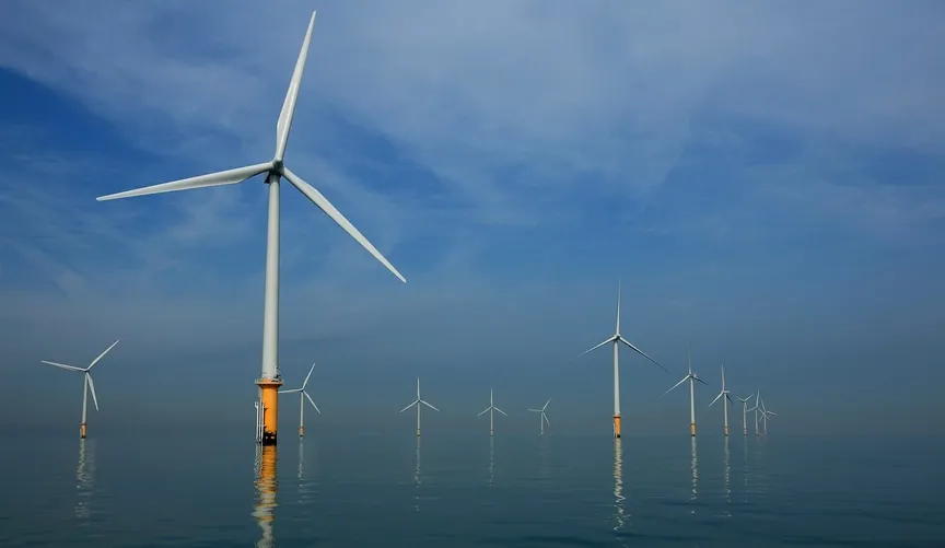 Can offshore wind help some fish? Research increasingly says yes.